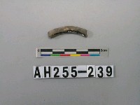 藏品(灰色泥質陶環殘件)的圖片